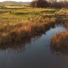 Tee Times