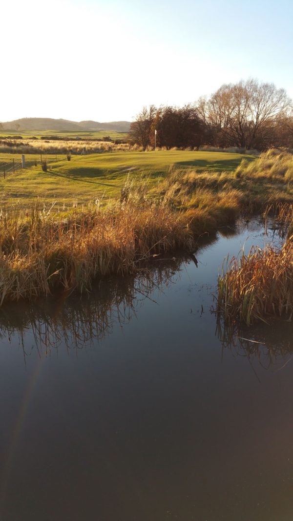Tee Times